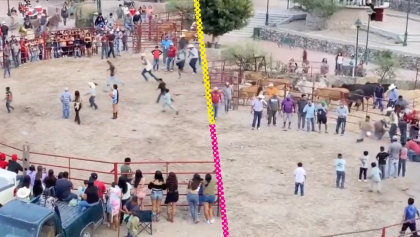 En Guanajuato amarran cohetes a gatos durante un rodeo