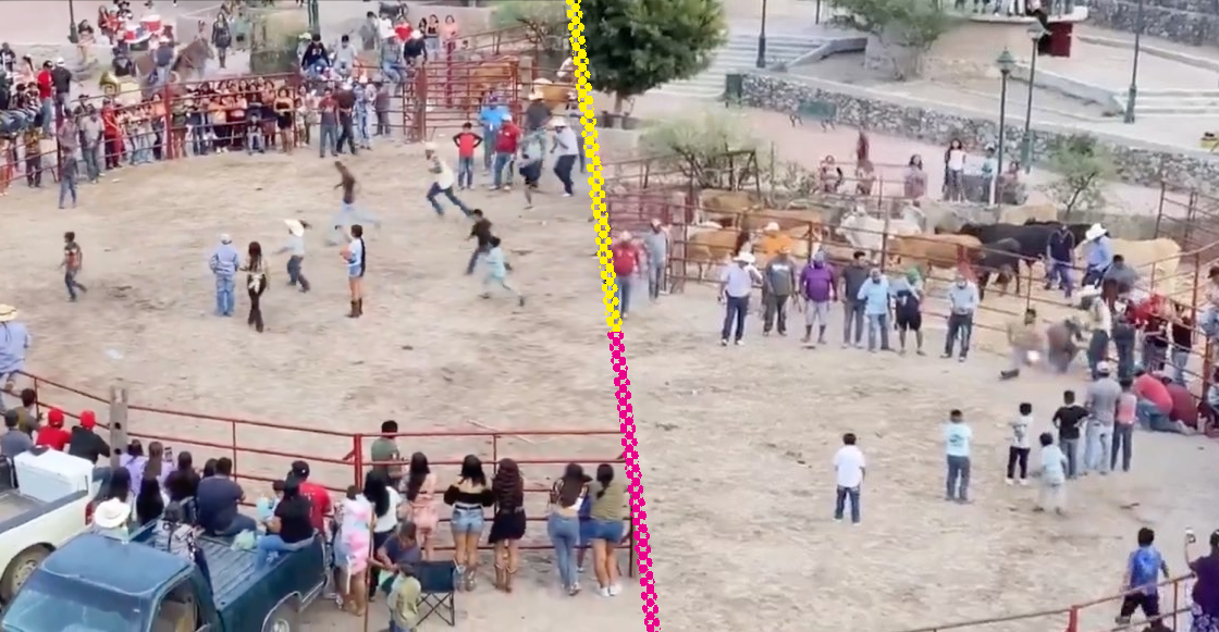 En Guanajuato amarran cohetes a gatos durante un rodeo