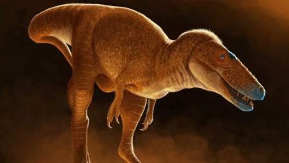 descubren-principe-dragones-eslabon-perdido-tiranosaurio-rex