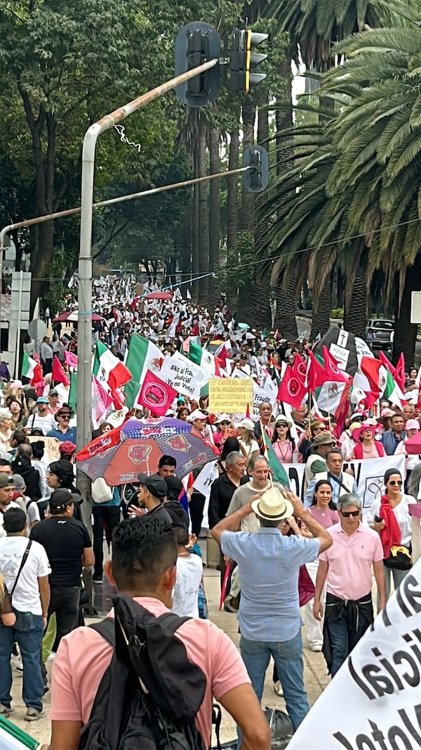 Poca convocatoria y muchas consignas: Domingo Negro vs Elecciones del Poder Judicial