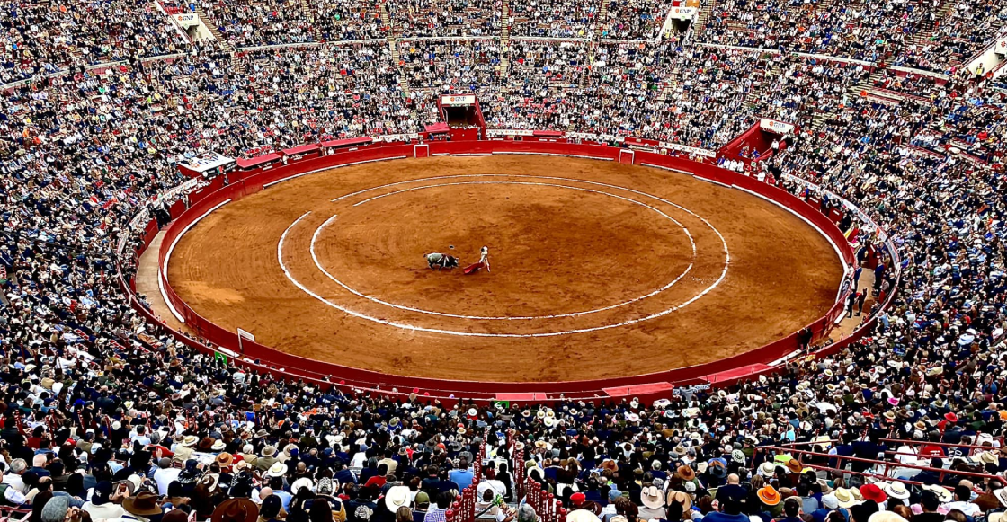 "Es técnica y jurídicamente inviable hacer corridas de toro sin violencia": Dice la Plaza México