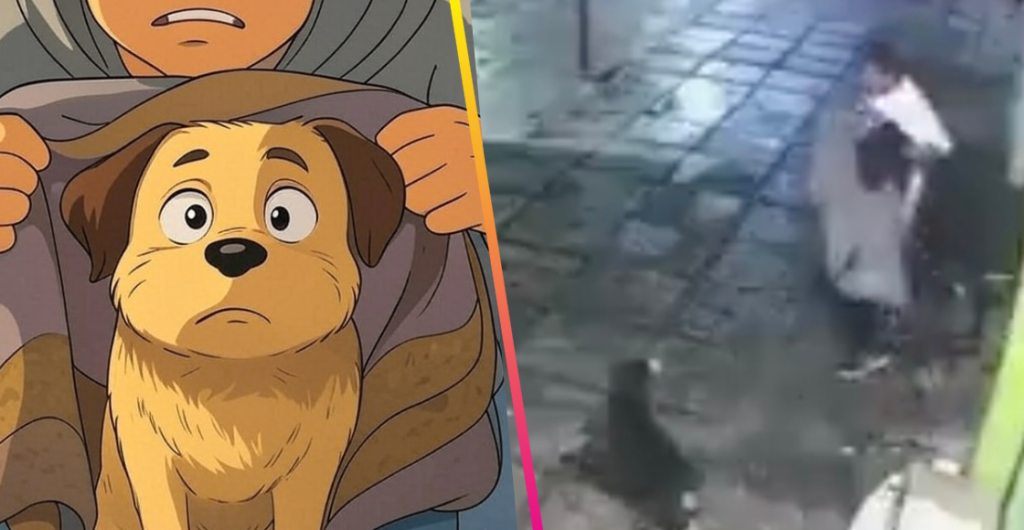 roban cobija a perrito 2