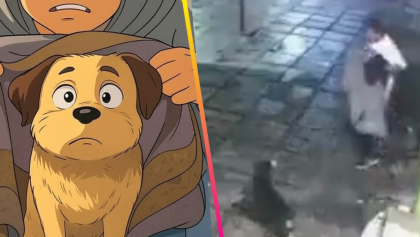 roban cobija a perrito 2