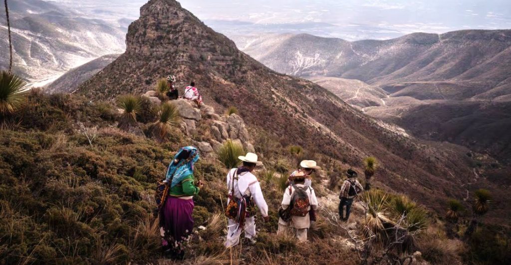 5 paisajes que se pueden conocer en la Ruta de Wirikuta