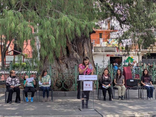 Bellezas silenciosas de la CDMX: Larga vida a los ahuehuetes