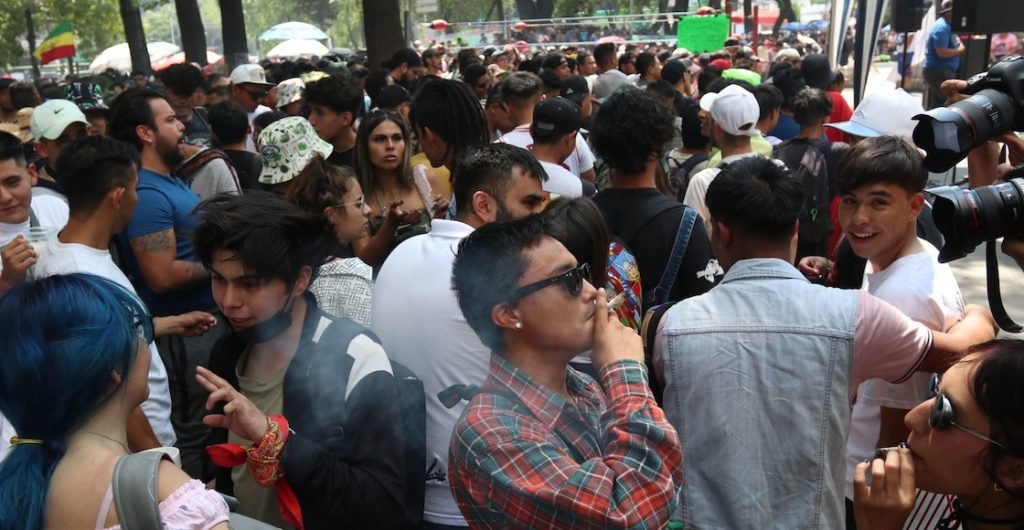 Día internacional 420 Senado