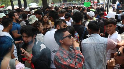 Día internacional 420 Senado