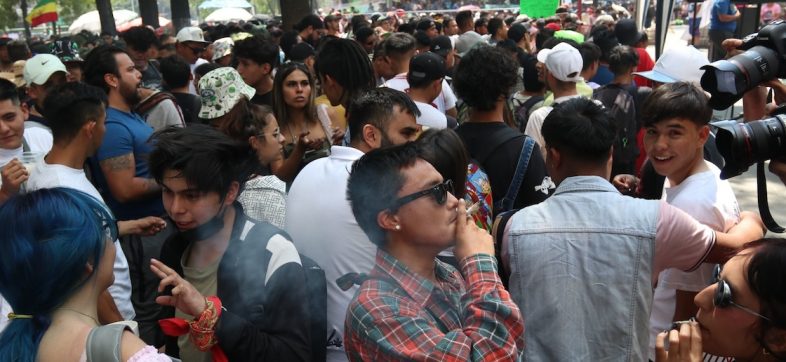 Día internacional 420 Senado