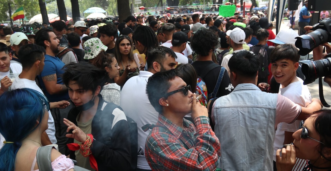 Día internacional 420 Senado