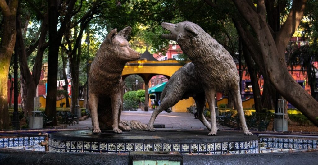 Un día en Coyoacán por menos de 100 pesos