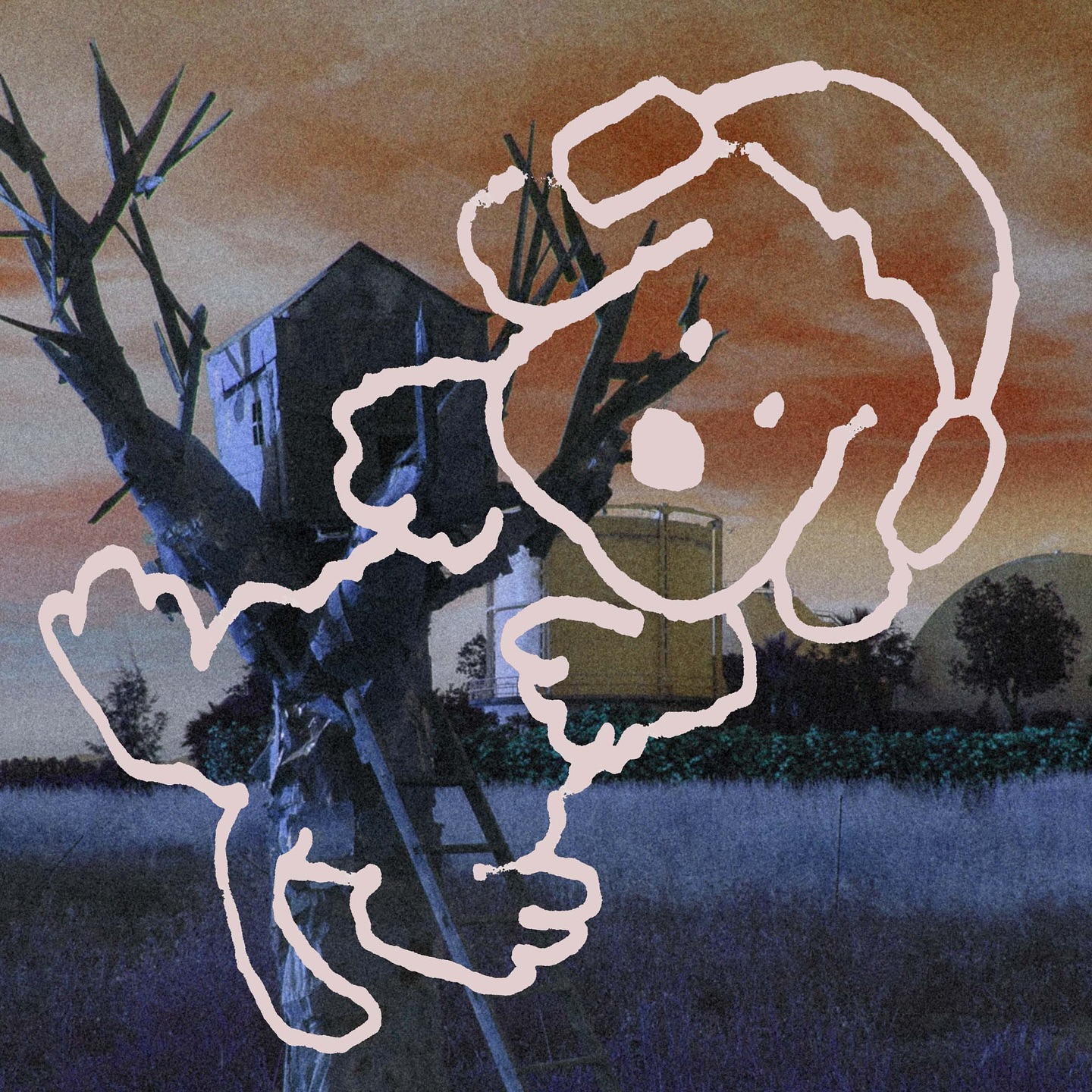 Entrevisa Depresion Sonora disco los perros no entienden internet