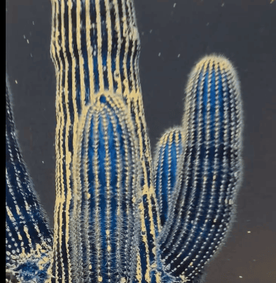 Bienvenidos a Extra-Terrestre