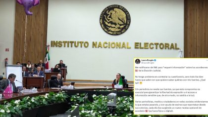 INE pide a la periodista Laura Brugés revelar sus fuentes o pagar 50 mil pesos de multa