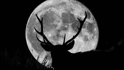 luna-de-ciervo-2025-que-es-cuando-verla-y-mas-mexico