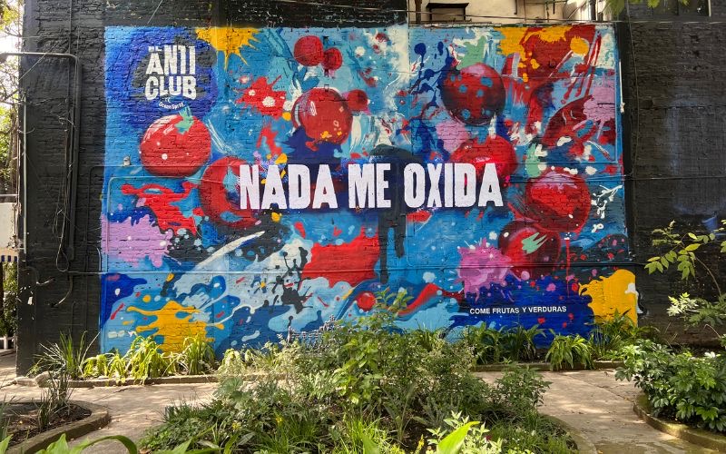mural de ocean spray en cdmx