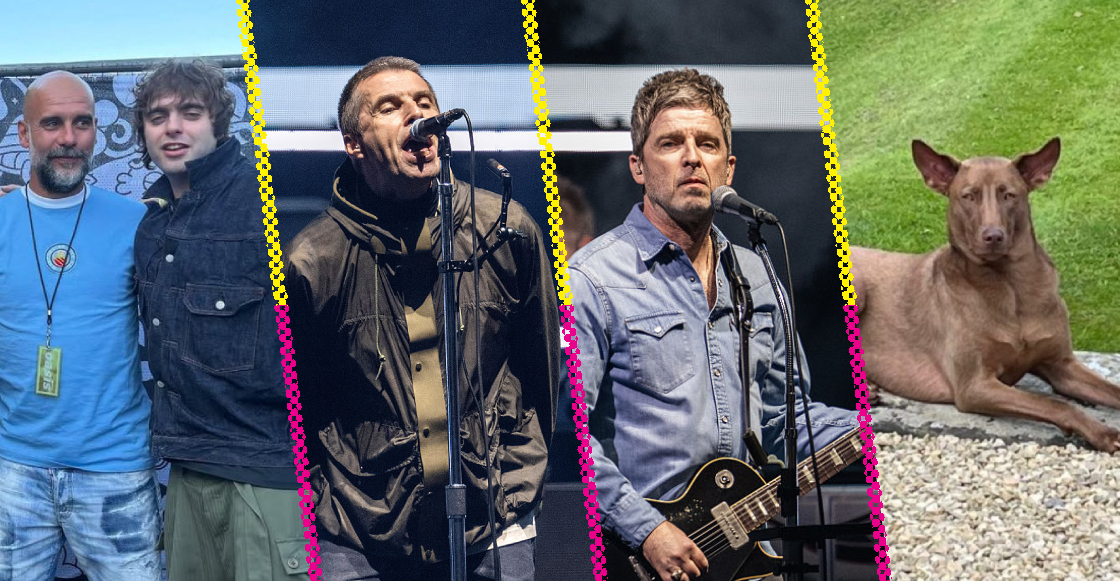 Datos random tour oasis 2025