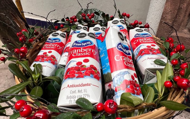 ocean spray y el anti club en evento privado en polanco cdmx