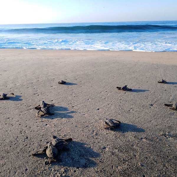 Lugares para ver que la Tierra es redonda: Punta Cometa
