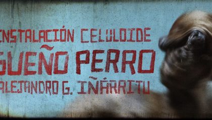 Sueño Perro de Alejandro G. Iñarritu