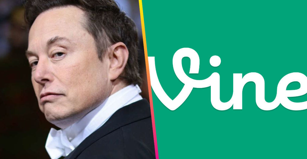 vine elon musk ia