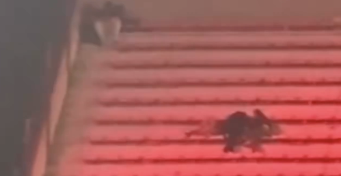 El polémico y preocupante acomodo de las gradas // Foto: Clarín