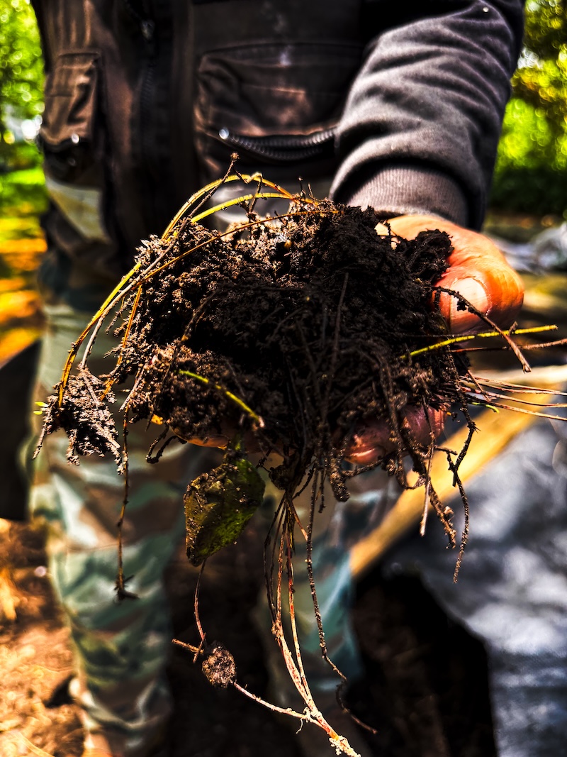 Barranca de Santa Fe: El rescate que cambió un tiradero por áreas verdes