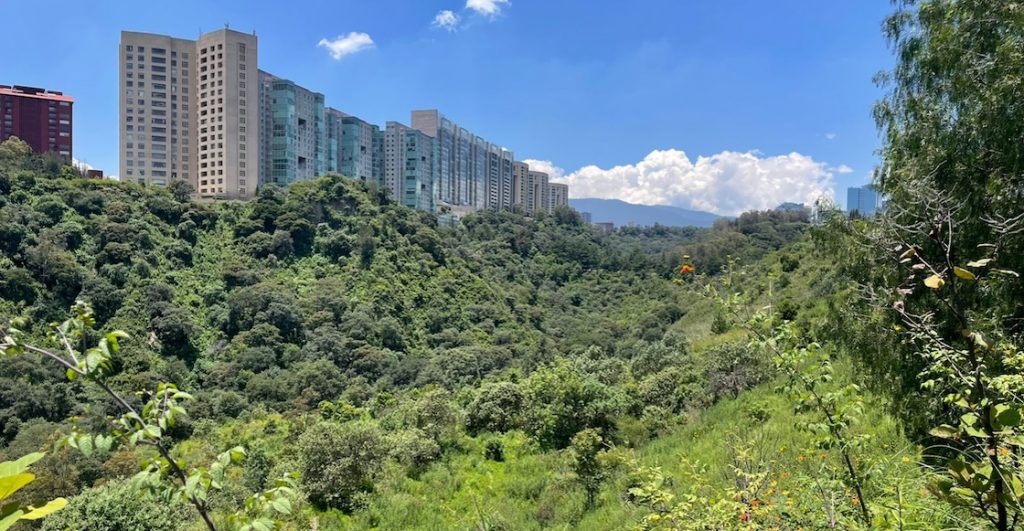 Barranca de Santa Fe: El rescate que cambió un tiradero por áreas verdes