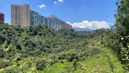 Barranca de Santa Fe: El rescate que cambió un tiradero por áreas verdes