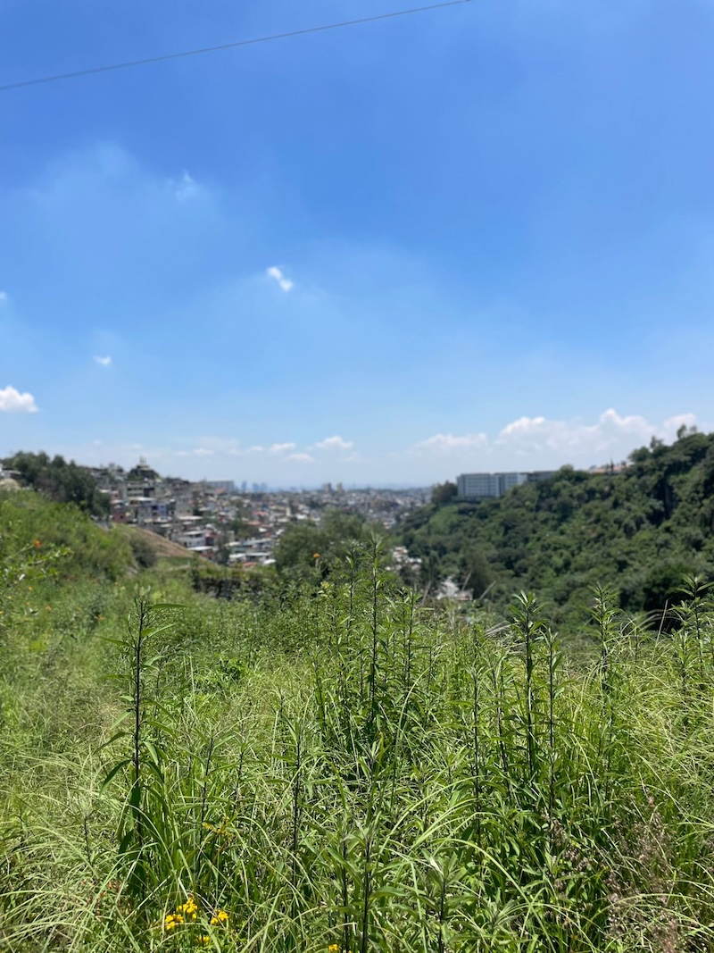 Barranca de Santa Fe: El rescate que cambió un tiradero por áreas verdes
