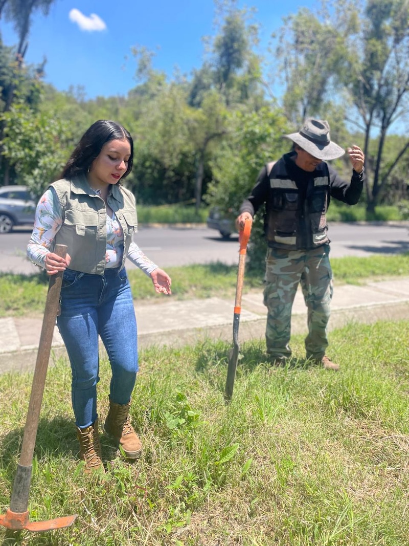 5 tips para plantar un árbol y que crezca feliz