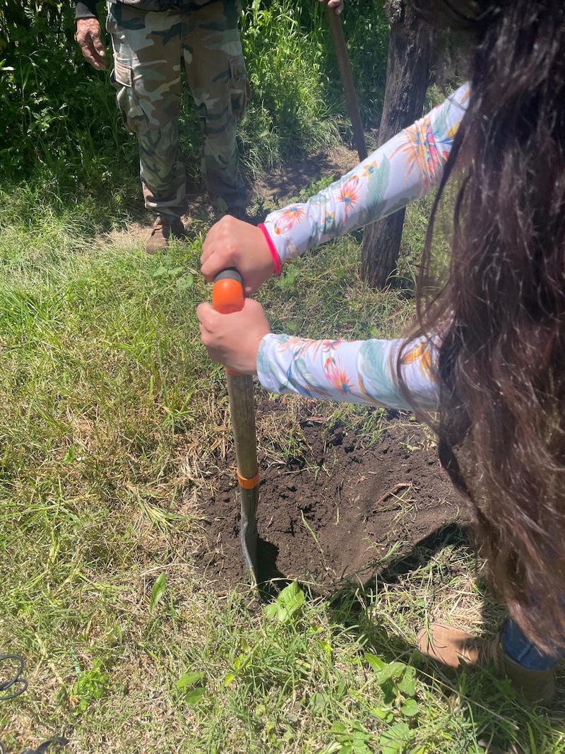 5 tips para plantar un árbol y que crezca feliz