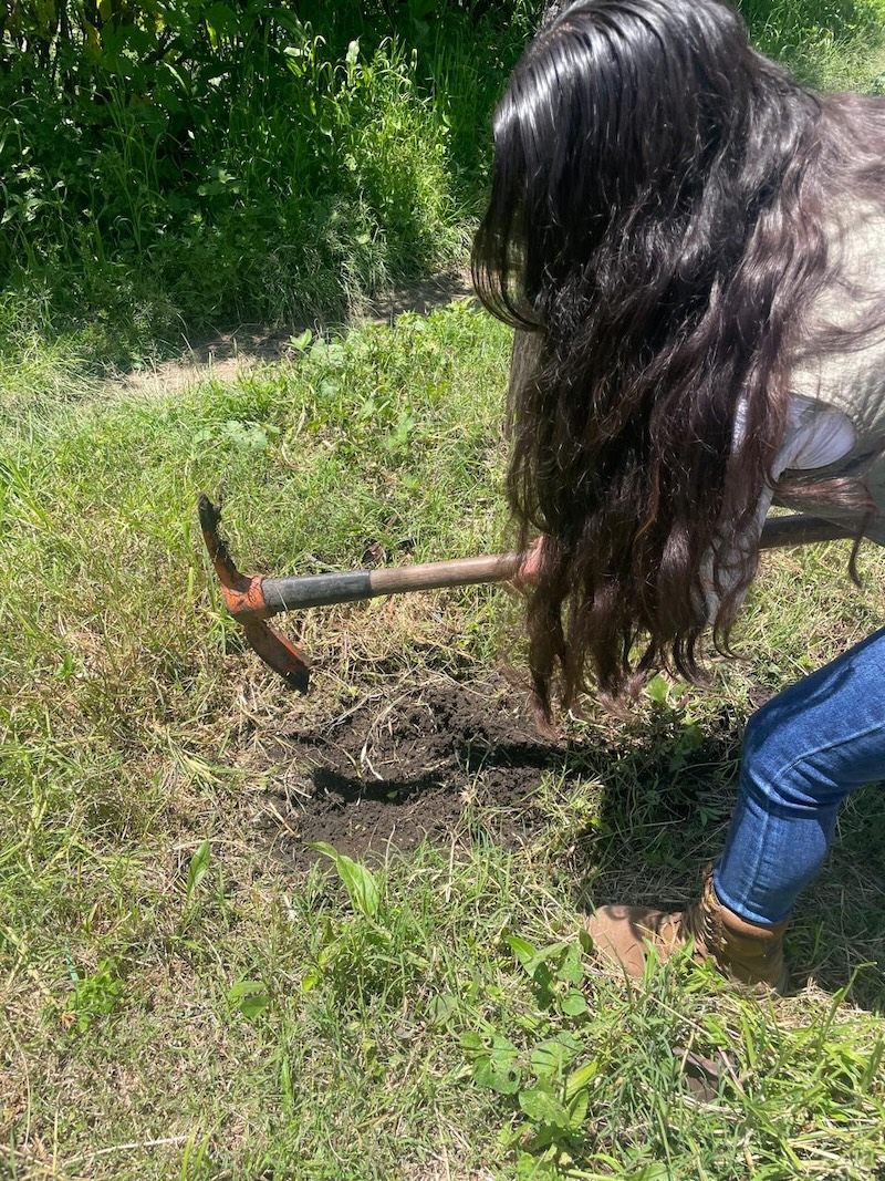 5 tips para plantar un árbol y que crezca feliz