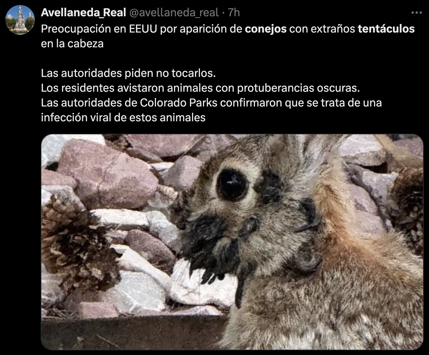 Conejos con tentáculos vistos en Estados Unidos