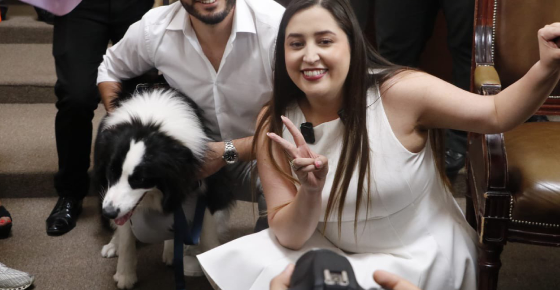 congreso-cdmx-aprueba-custodia-mascotas-divorcios