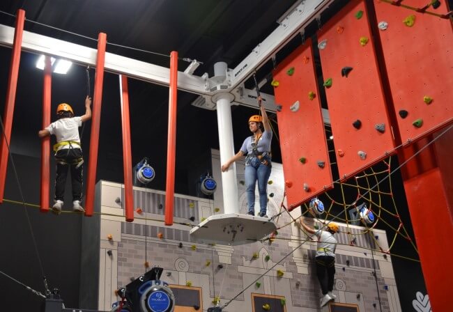 Exposiciones medievales presenta: “Dragones, Mundo Mítico”