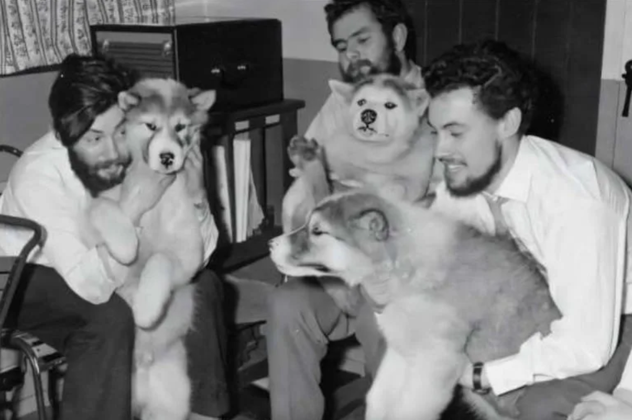 encuentran-restos-cientifico-perdido-desde-1959-antartida