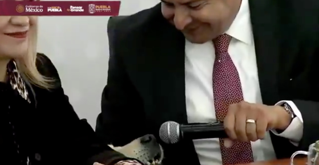 gobernador-de-puebla-entrevista-a-su-mascota-tomy