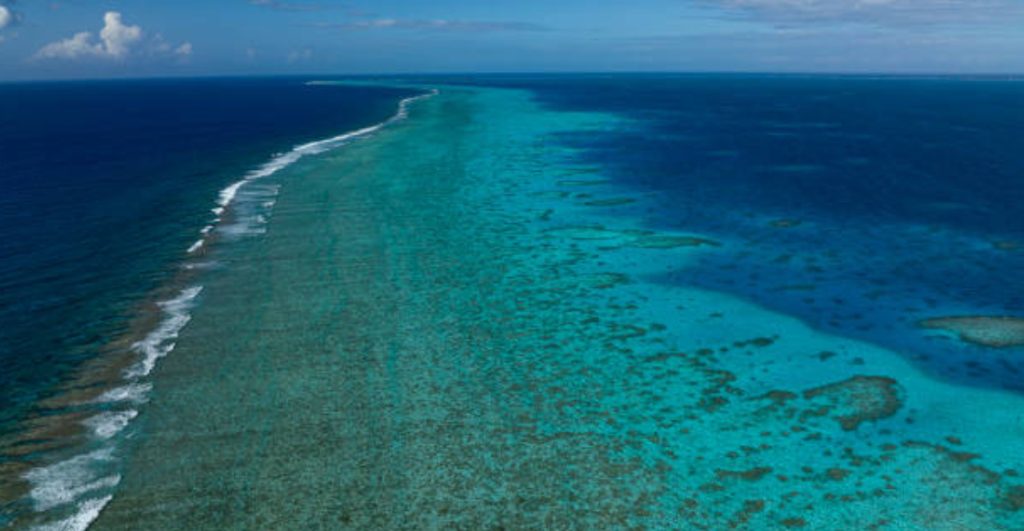la-gran-barrera-de-coral-sufre-mayor-blanqueamiento-registrado-historia
