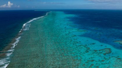 la-gran-barrera-de-coral-sufre-mayor-blanqueamiento-registrado-historia