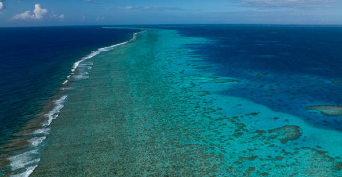 la-gran-barrera-de-coral-sufre-mayor-blanqueamiento-registrado-historia