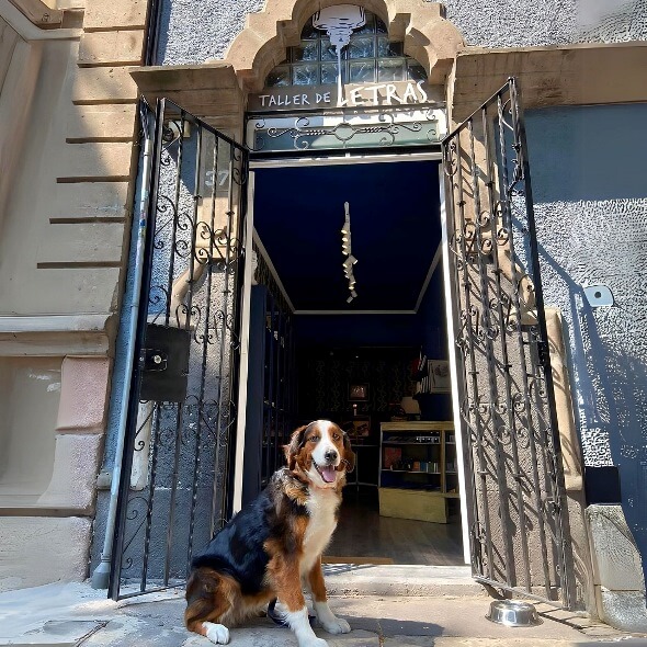 Tinta indeleble presenta: Lugares para comprar plumas bonitas