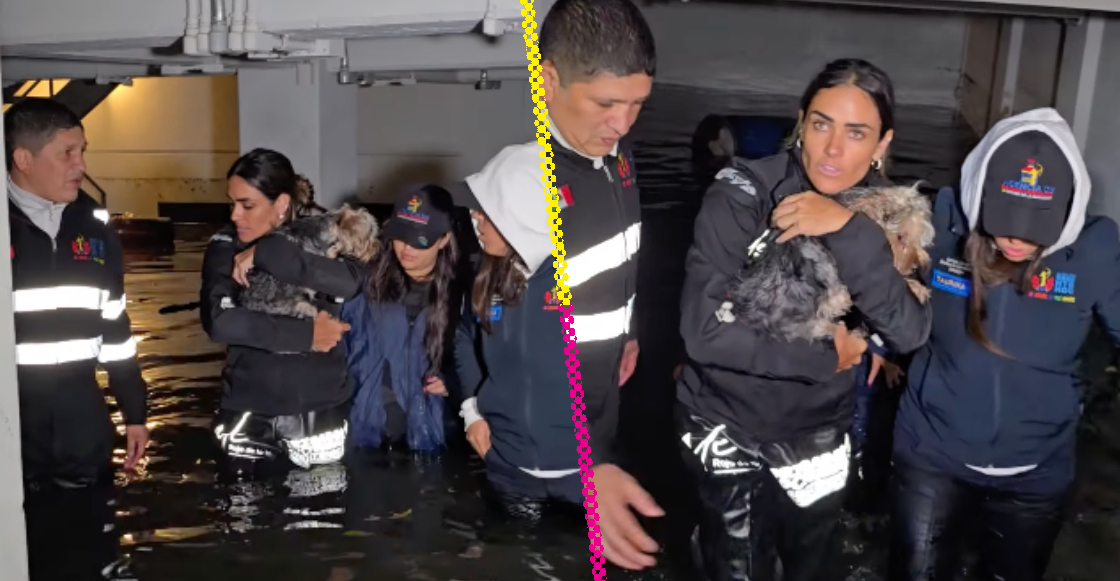 movida-administracion-ale-rojo-de-la-vega-en-la-cuauhtemoc-1