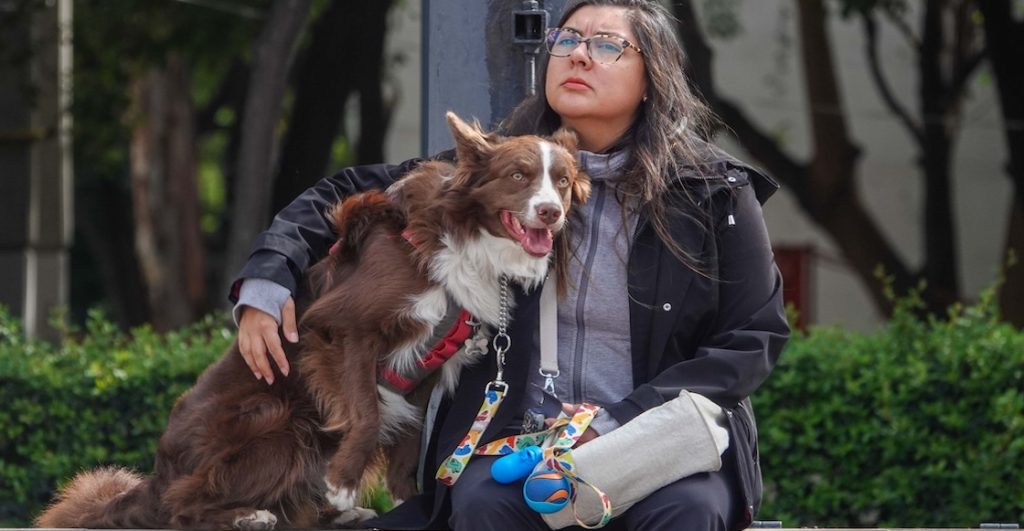 “No sabemos qué hacer con él”: La primera causa de muerte de perros en México