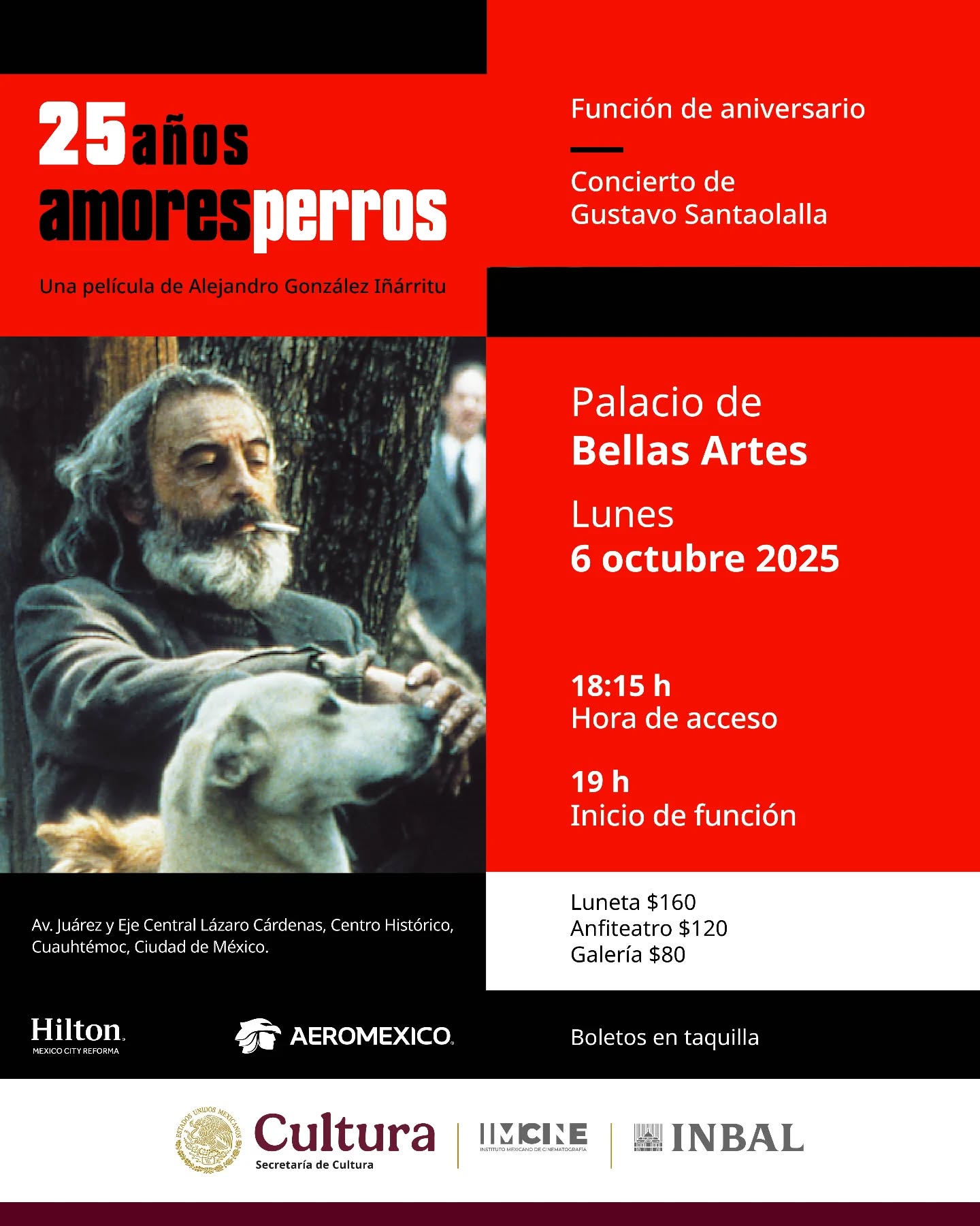 amores perros bellas artes