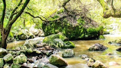 De cómo aparecieron dos cabezas gigantes en Querétaro