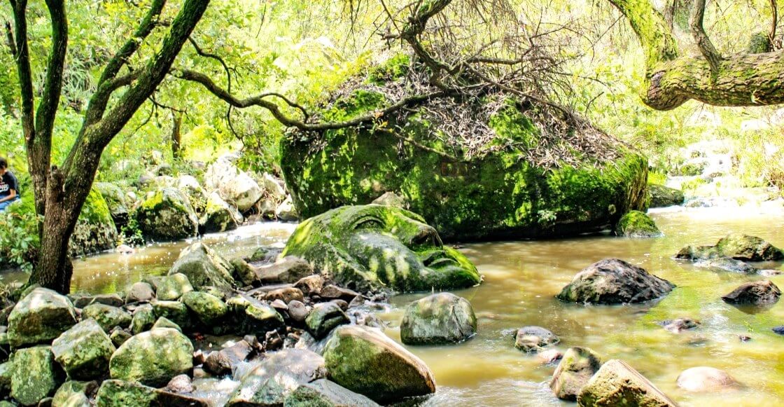 De cómo aparecieron dos cabezas gigantes en Querétaro