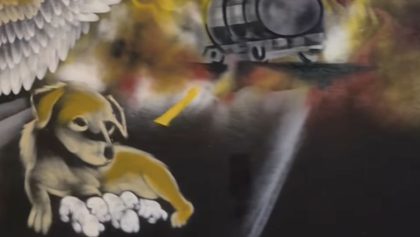 Cerecita y su camada: Sobrevivieron a la explosión en Iztapalapa y ahora luchan por su vida