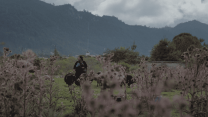 Formas de atravesar un territorio