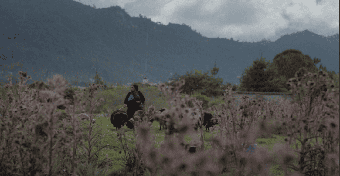 Formas de atravesar un territorio