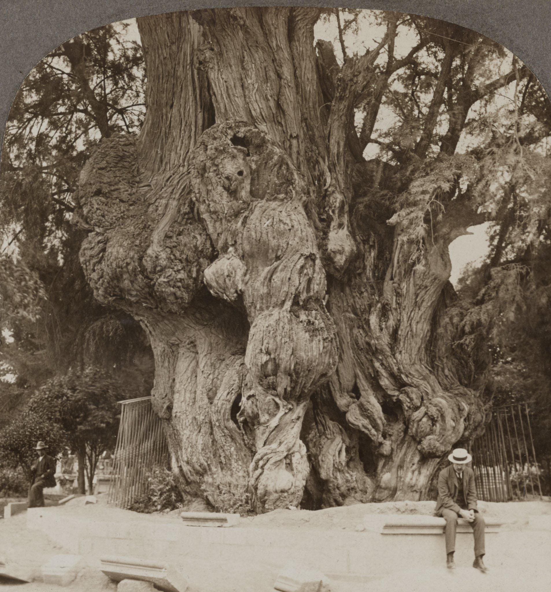 Frases del Laberinto de la soledad 